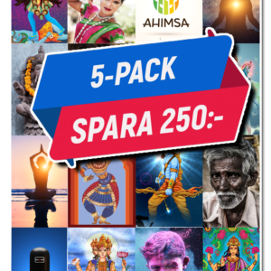 Begreppskort religion - Hinduism, köp fem betala för fyra!