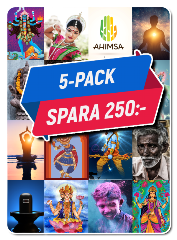 Begreppskort religion - Hinduism, köp fem betala för fyra!