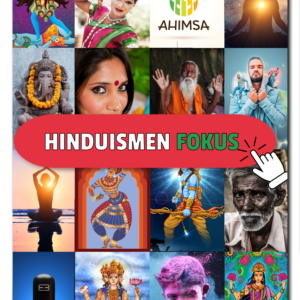 Begreppskort hinduism - fokus!