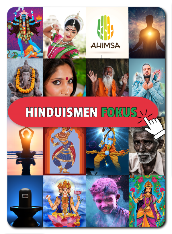 Begreppskort hinduism - fokus!