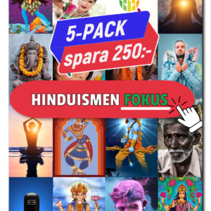 Begreppskort hinduism - fokus 5-pack!