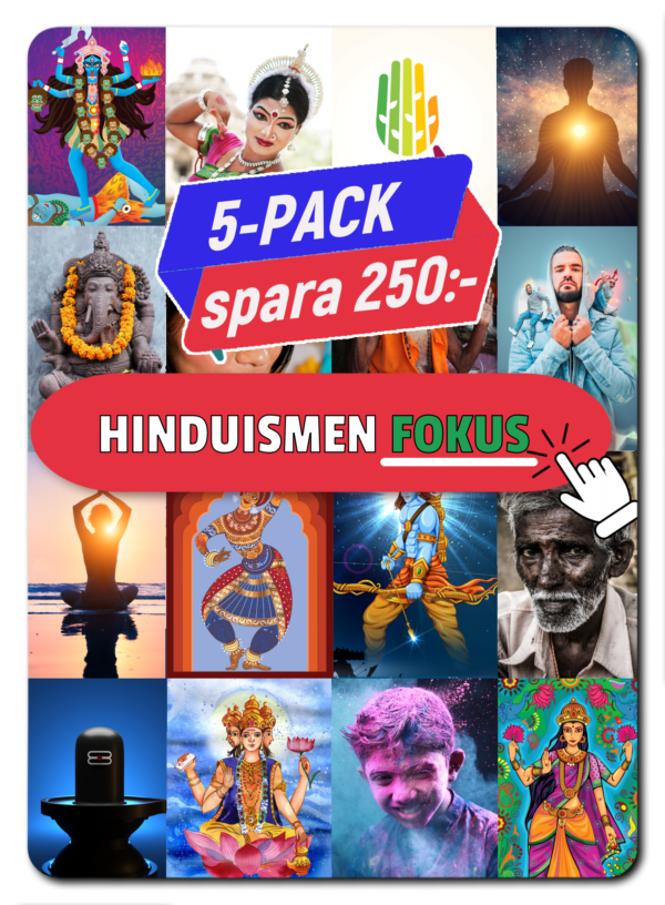 Begreppskort hinduism - fokus 5-pack!